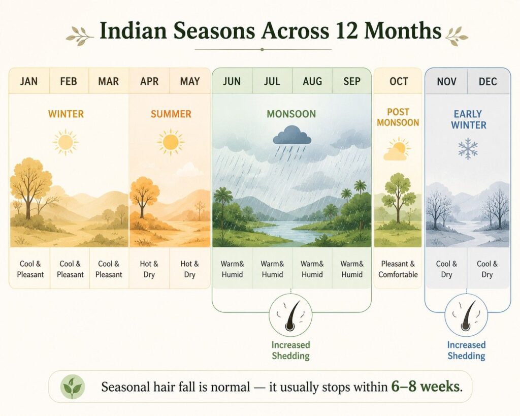 Calendar illustration showing seasonal hair fall pattern in India during monsoon and winter months with normal shedding cycle timeline