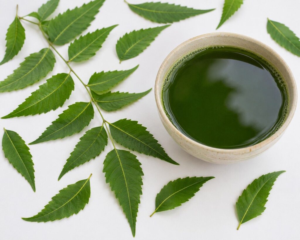 neem leaves home remedy for dandruff and itchy scalp