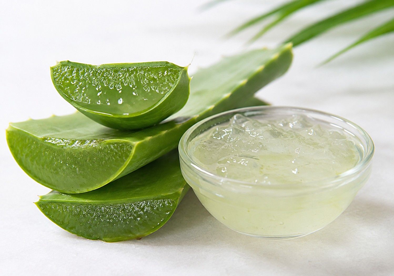 Aloe vera scalp treatment home remedies for healthy hair