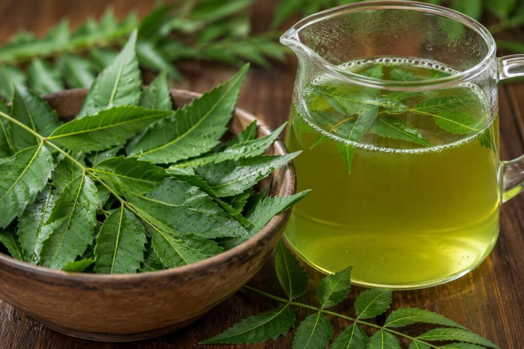 Neem rinse for scalp health ayurvedic hair care